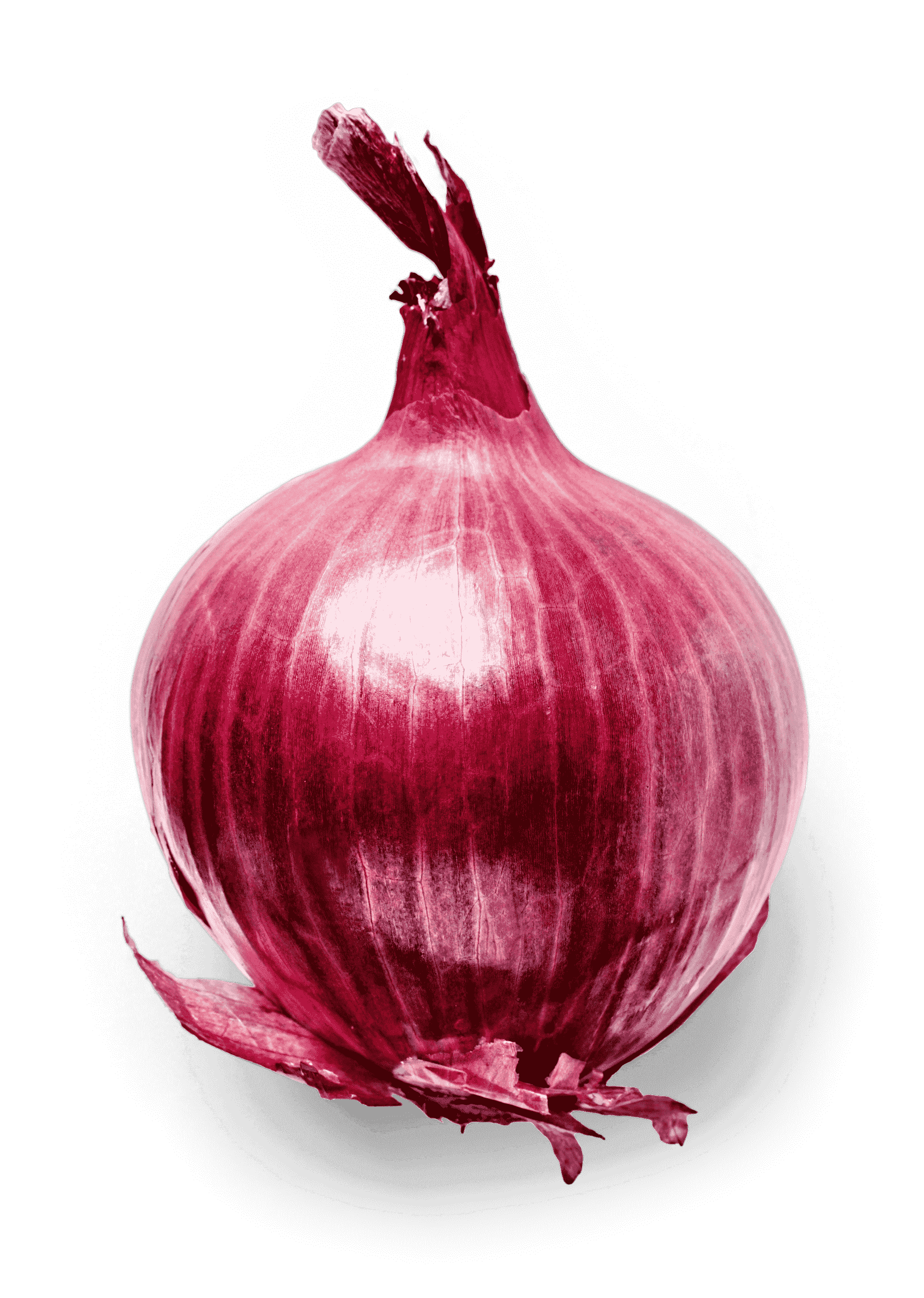 Onion